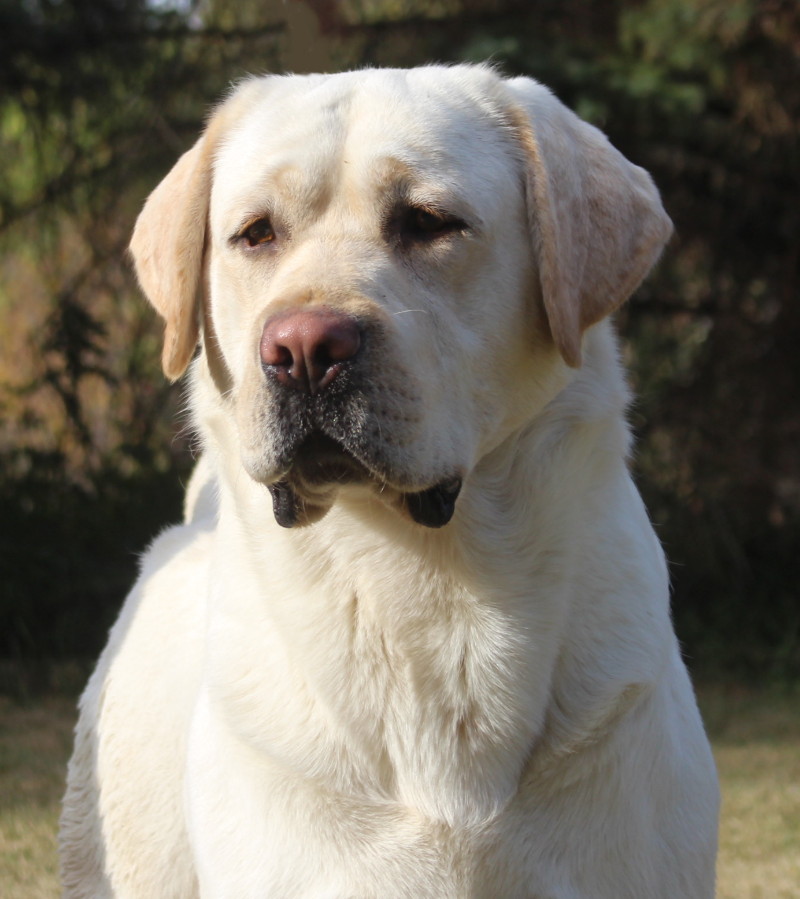 Logan 2 years (1)